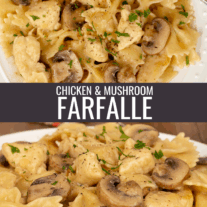 Farfalle pasta with chicken and a mushroom sherry sauce.