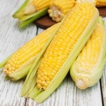 Three ears of fresh corn, partially cleaned and ready for cooking.