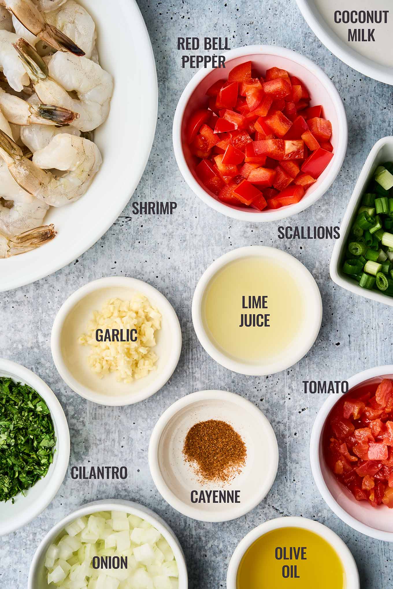 Ingredients for Brazilian coconut shrimp stew including shrimp, coconut milk, red bell pepper, tomato, lime juice, scallions, garlic, and cilantro.