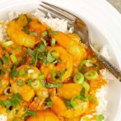 A shallow bowl filled with steamed white rice topped with coconut curry shrimp and garnished with chopped scallions, and cilantro.