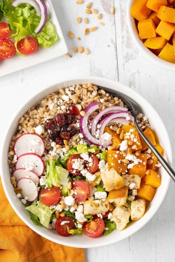 A bowl of one-dish farro salad with roasted butternut squash, dried cranberries, croutons, greens, sliced radish, and goat cheese.