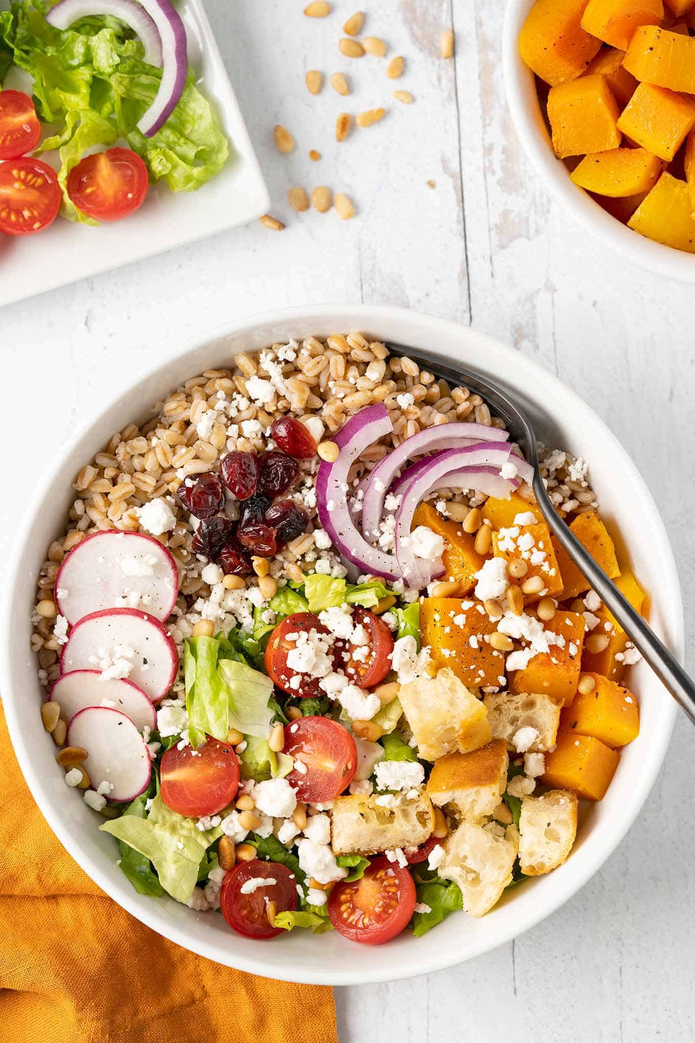 Bowl of farro salad with butternut squash, greens, tomatoes, cranberries, goat cheese and more.