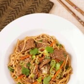 An overhead view of a plate of lo mein noodles tossed with stir-fried flank steak, shredded carrot, scallions, ginger, and garlic in a five-spice hoisin sauce.
