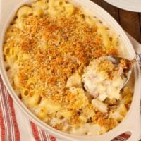 A casserole of French macaroni and cheese topped with toasted breadcrumbs with a spoonful being scooped out for serving.