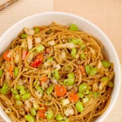 A bowl of whole wheat spaghetti tossed with edamame, stir-fried cabbage, sesame seeds and a light peanut sauce.