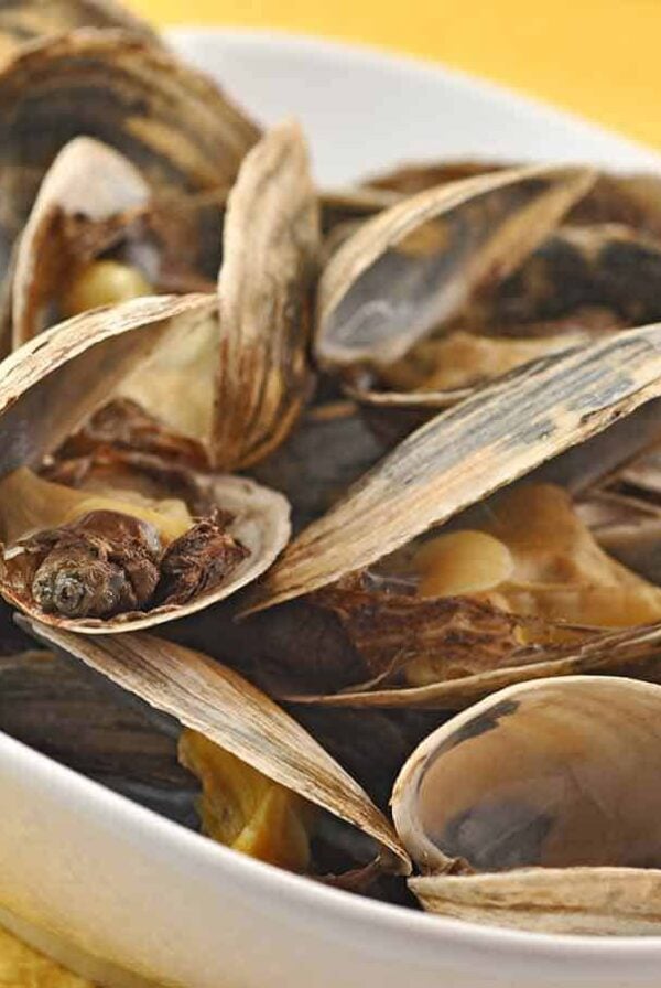 Steamer Clams, New England Style