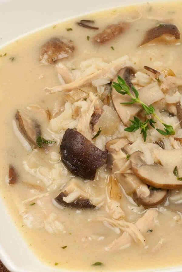 Turkey, Rice and Mushroom Soup
